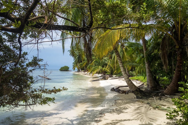 Tropical Paradise
